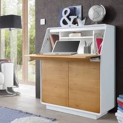 Secrétaire Boge -Mobilier Soldes 1000027423 190329 07355000001 MOOD GALLERYIMAGES P000000001000027423 mood