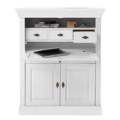 Secrétaire Bergen 29 Secrétaire Bergen -Mobilier Soldes 1000104454 211122 08321901198 DETAILS P000000001000104454