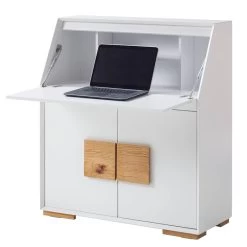 Secrétaire Deanes -Mobilier Soldes 1000170727 200925 11015900019 DETAILS P000000001000170727