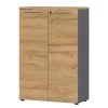 Armoire De Bureau GW-Agenda I 1 Armoire De Bureau GW-Agenda I -Mobilier Soldes 1000210642 200408 14213000036 IMAGE P000000001000210642