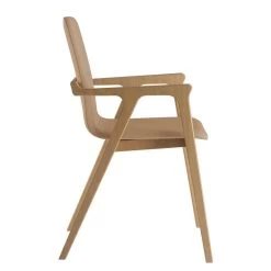 Chaise à Accoudoirs Toma -Mobilier Soldes 1000274321 210709 14175800184 DETAILS P000000001000274321