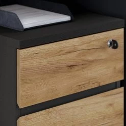 Caisson De Bureau GW-Lisbonne 14 Caisson De Bureau GW-Lisbonne -Mobilier Soldes 1000353358 220520 040 DETAILS P000000001000353358