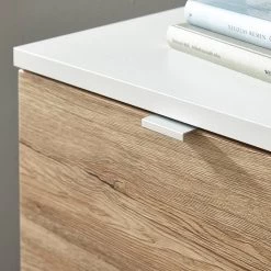 Meuble à Chaussures Colorado II 35 Meuble à Chaussures Colorado II -Mobilier Soldes 1000366422 220905 033 DETAILS P000000001000366422