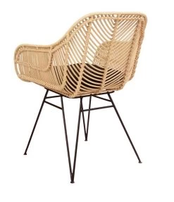 Fauteuil De Table En Rotin 16 Fauteuil De Table En Rotin -Mobilier Soldes 3c37d9385b0e4807875f9699dbd0fb3a.cropped 186 184 678 788.processed